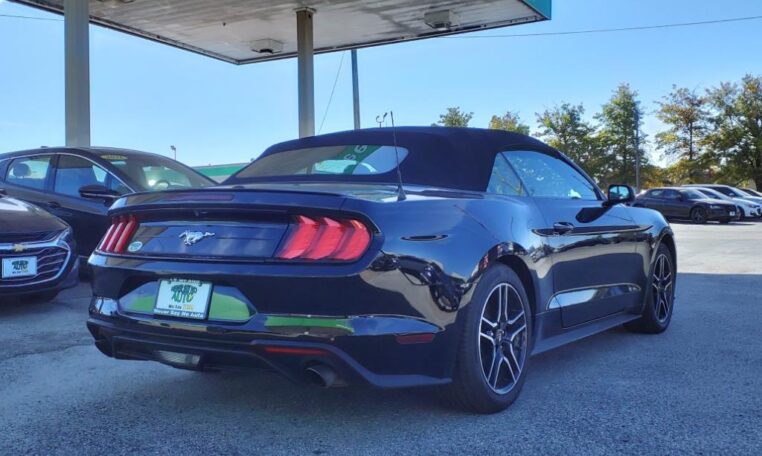 2022 Ford Mustang EcoBoost Premium 7865T Rear (3)